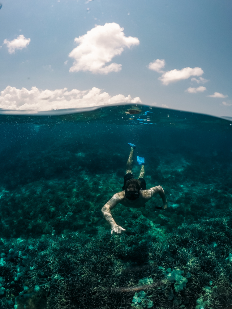Diving